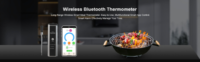 quality Digital Cooking Thermometer factory